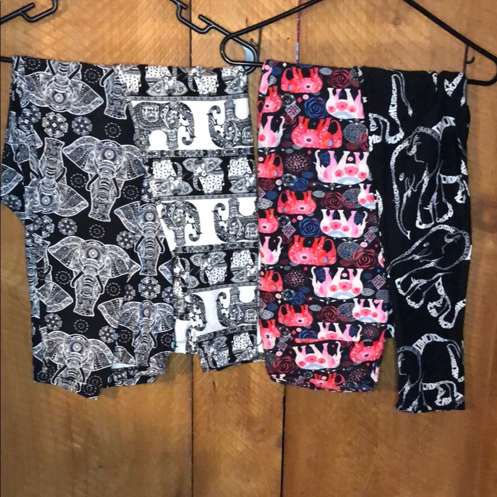 Elephant leggings lot